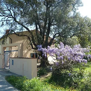 Al Vecchio Leccio Séjour à la campagne